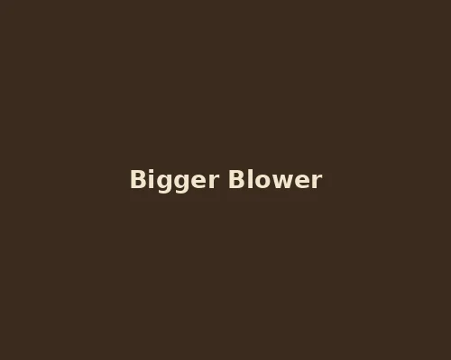 Bigger blower with flow adjustment on combine harvester