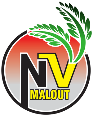 nv-logo